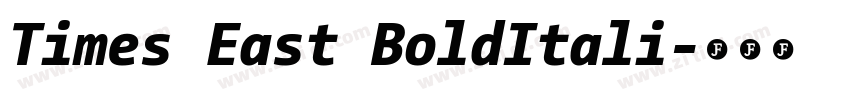 Times East BoldItali字体转换